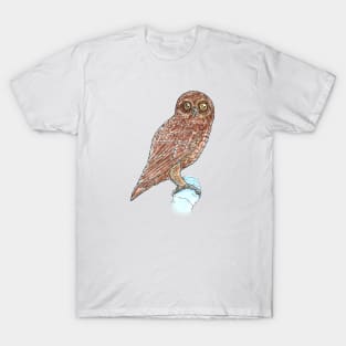 Southern Boobook Owl T-Shirt